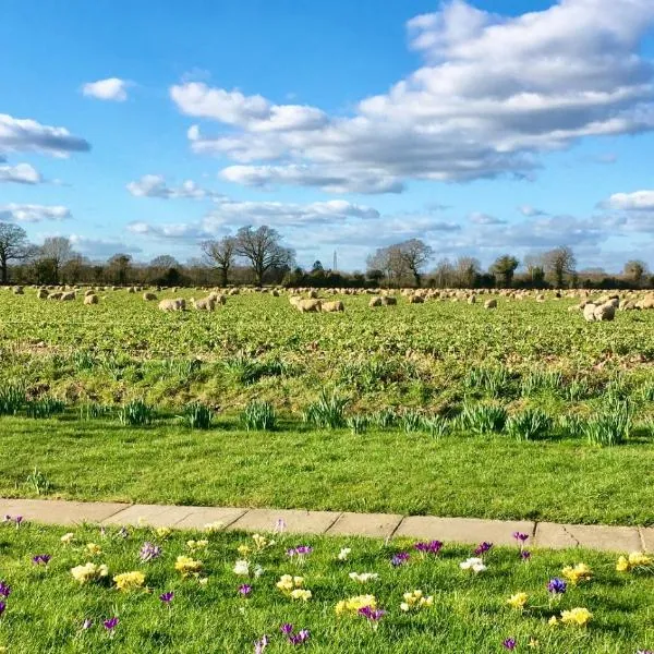 Pheasant Suites, hotel di Manningtree