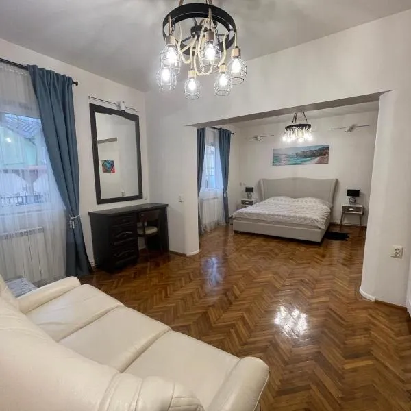 Premier rooms, hotelli kohteessa Bărcăneşti