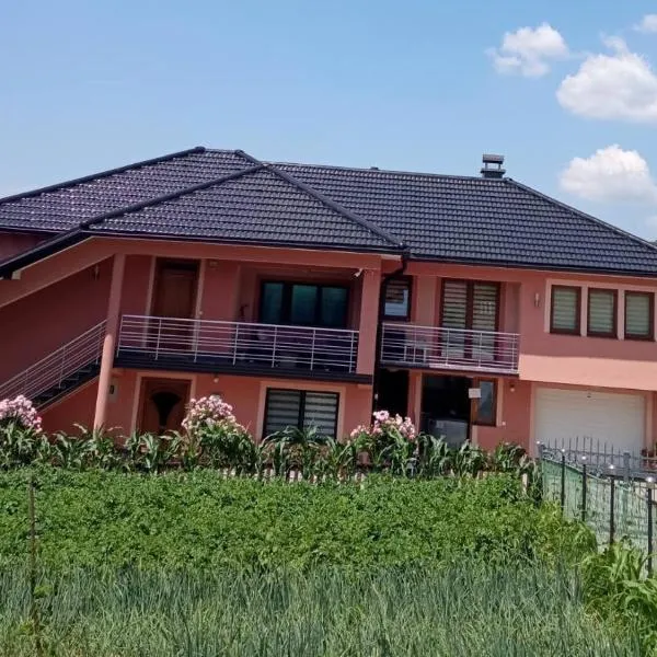 Guest House Ahmo Halilcevic, hotel in Dubrave Gornje