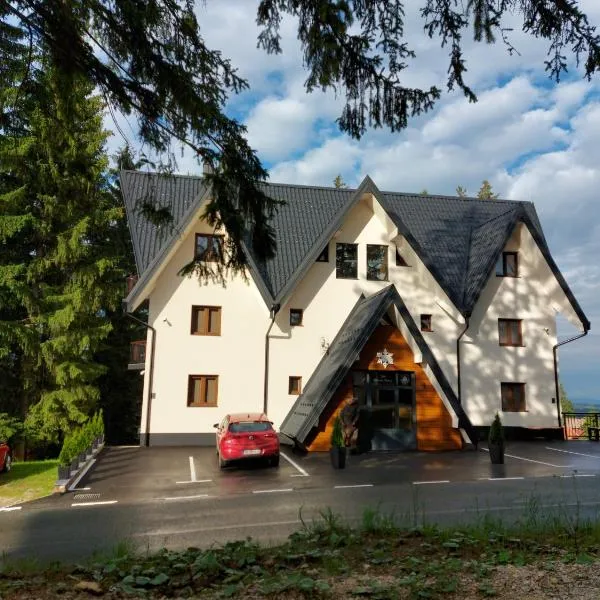 Vila ZLATARSKA PAHULJA, hotel u Novoj Varoši