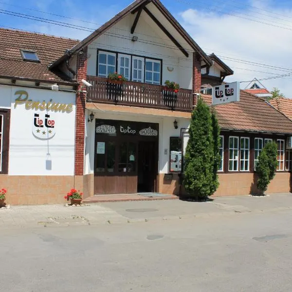 Pension Tip-Top, hotel in Târgu-Mureş