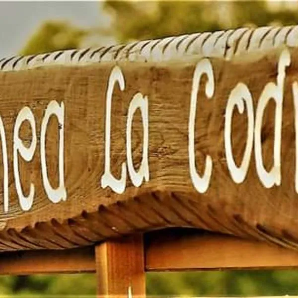Pensiunea La Codru, hotel v destinaci Jurilovca