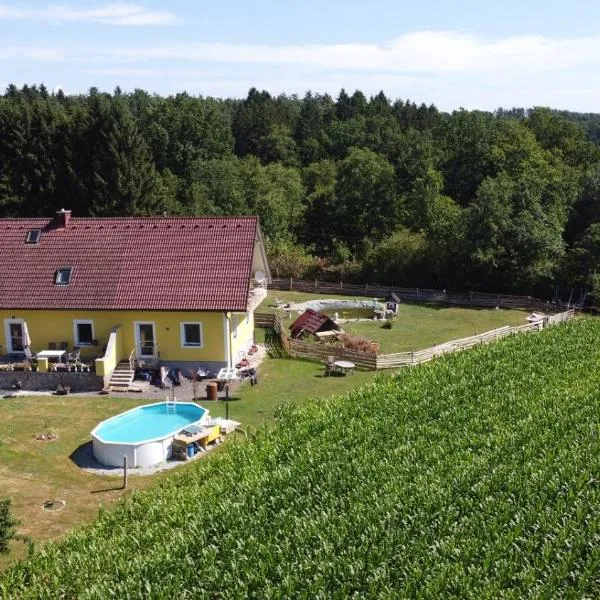 HAUS SONBERG mit Garten, Pool, Fasssauna, semi detached house with garden, Hotel in Leibenfeld