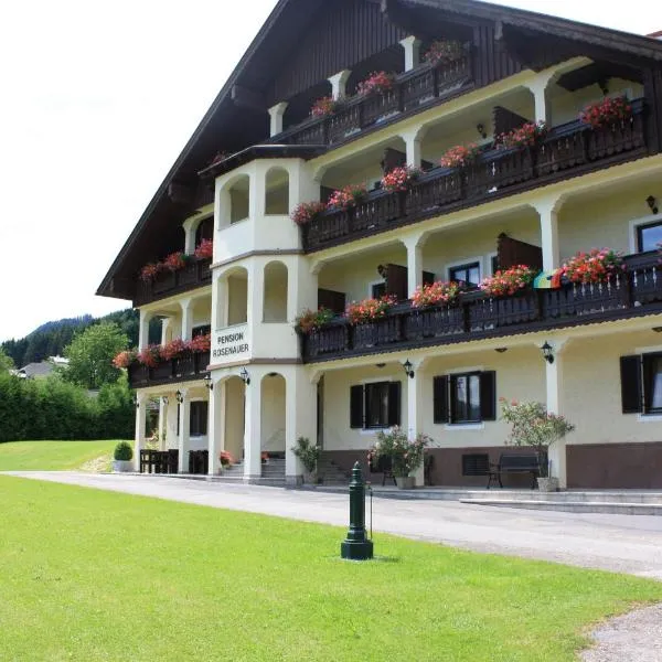 Haus Rosenauer Zimmer & Ferienwohnungen, hotel v destinaci Nussdorf am Attersee