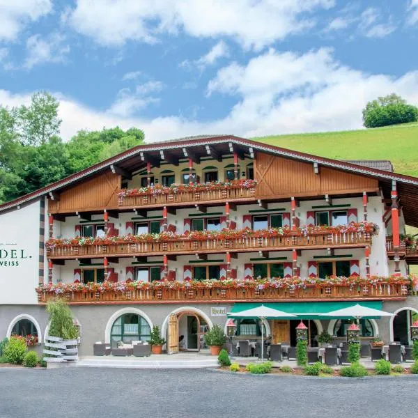 Hotel Edelweiss, hotel in Valle Di Casies