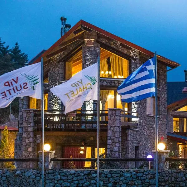ViP Chalet 4 Seasons, hotel in Arachova
