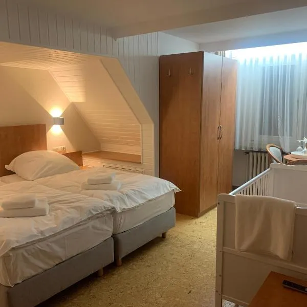Hotel Gold´ne Krone, hotel v destinaci Oppenheim