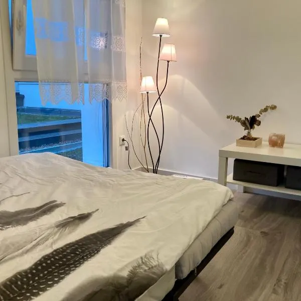메츠에 위치한 호텔 Appartement Muse proche Gare