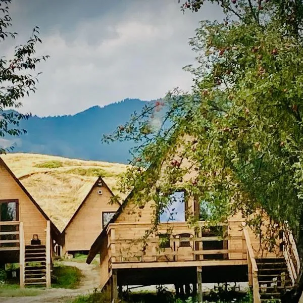 Cabanele lu’ Dinu, hotel v destinaci Curtea de Argeş