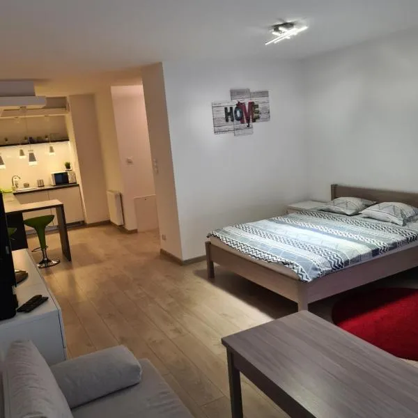 Wielicka Apartment, hotel in Krakow