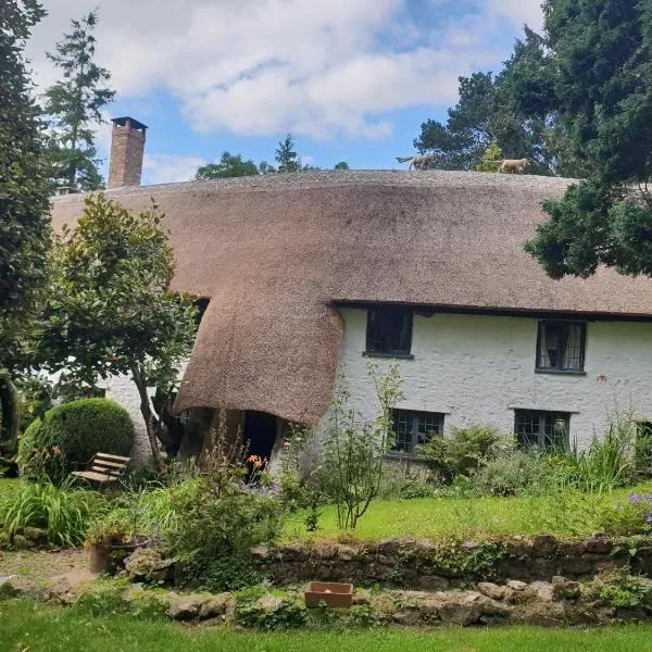 Ford House, hotel in Cotleigh