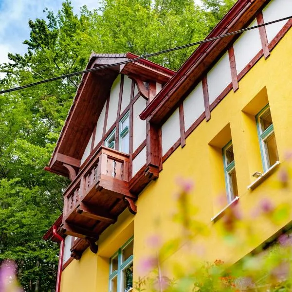Vila Weigend, hotel v destinaci Libouchec