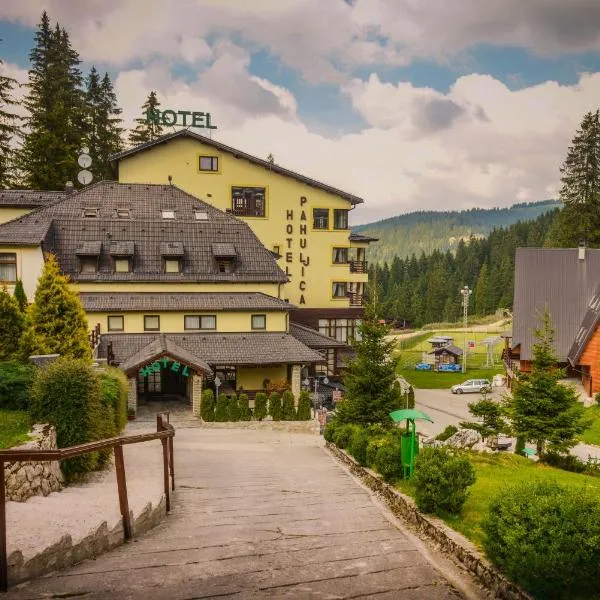 Hotel Pahuljica, hotel in Vlasic