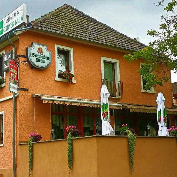 Grüner Baum, hotel en Neckargerach