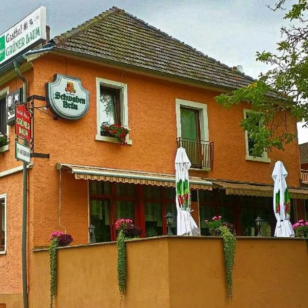 Grüner Baum، فندق في Waldbrunn