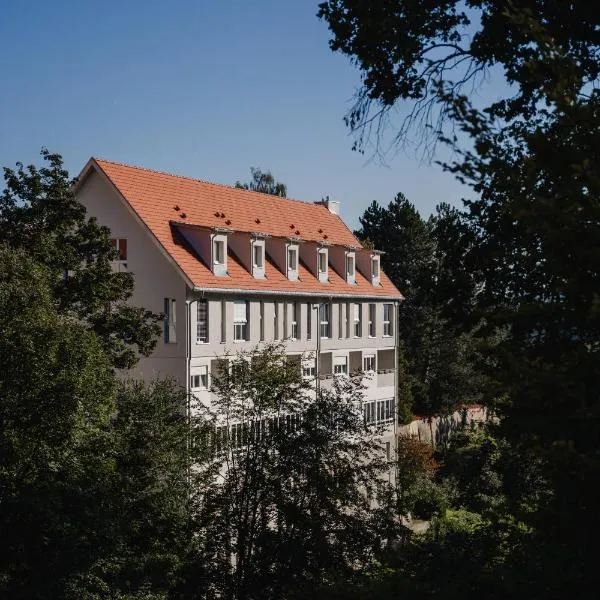 Maiers Johanniterbad Ringhotel Rottweil, hotel en Dietingen