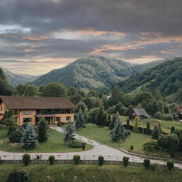 Pensiunea Rau Sadului, hotel en Lotrioara