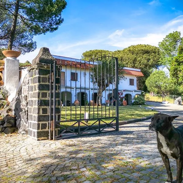 Hotel Sirio, hotel v destinácii Boscotrecase