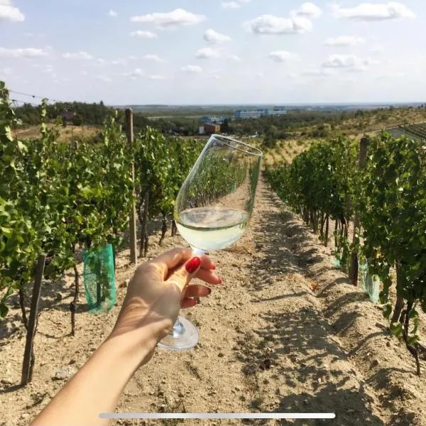 Cozy rooms in wine town - Modra, hotel en Modra