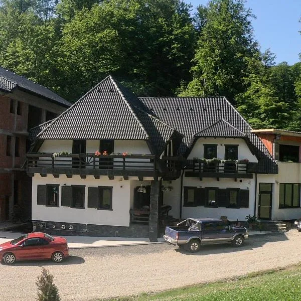 Băile Puturoasa, hotel in Seini