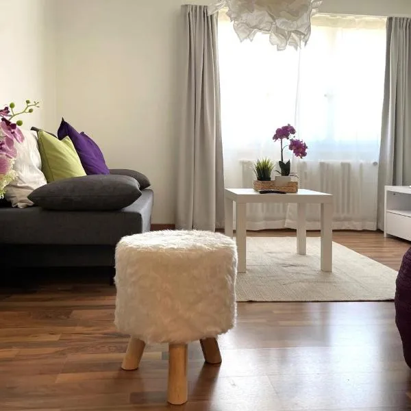 Modern apartment in a charming old town setting, hotel in Altstätten