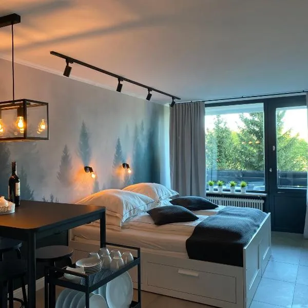 Schwarzwald Wohnung Kniebis, hotel in Freudenstadt