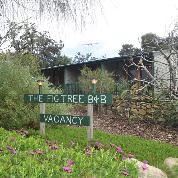 The Fig Tree B&B, hotel v destinaci Baudin Beach