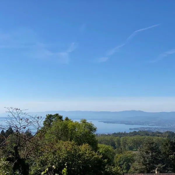 Petite maison à l'orée des bois vue magnifique sur le lac zenitude et plénitude, hôtel à Belmont-sur-Lausanne