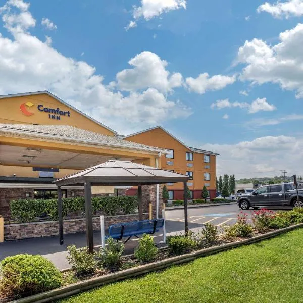 Comfort Inn Nashville West, hotel en Joelton