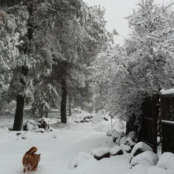 Gate Away B&B Units - המקום באל רום, hotel in El-Rom