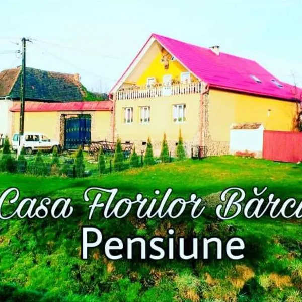 Casa Florilor Barcut โรงแรมในVăleni