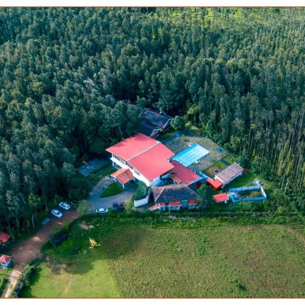 Coffee Grove Resort，齊齊曼卡羅的飯店