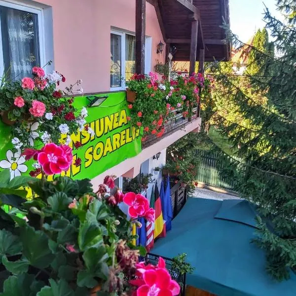 큼풀룬그에 위치한 호텔 Pensiunea Agroturistică Piscul Soarelui