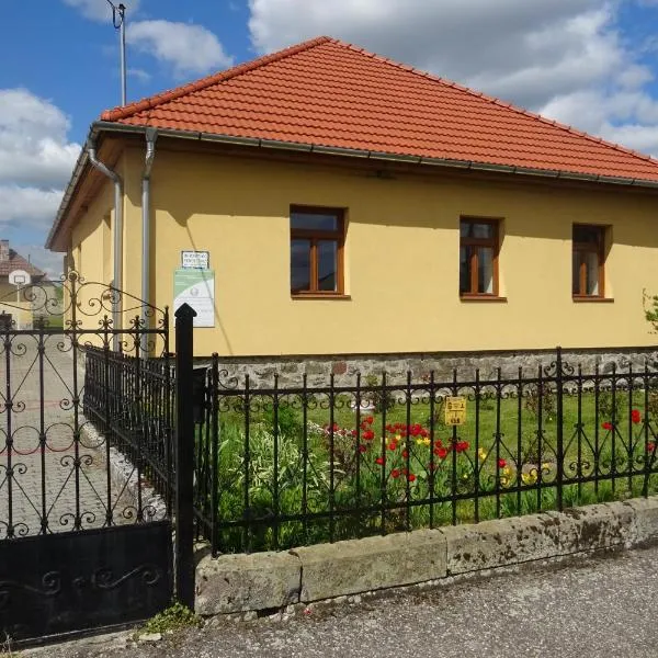 Borostyán Vendégház, hotel in Vilyvitány