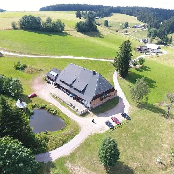 Zum Wilden Michel, hôtel à Oberlinach