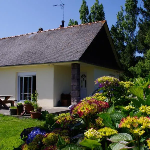 Châtelet Camelot, hotel in Pludual