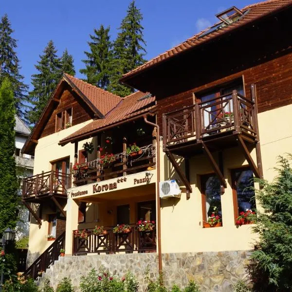 Pensiunea Korona, hotel v destinaci Borsec
