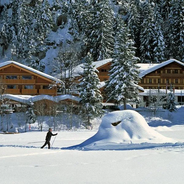 Waldhotel Doldenhorn, hotel in Kandersteg