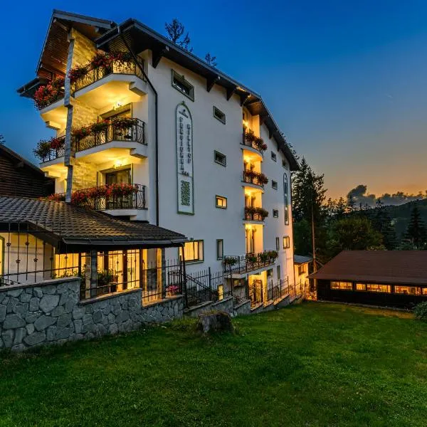Pensiunea Hilltop, hotel v destinaci Predeal
