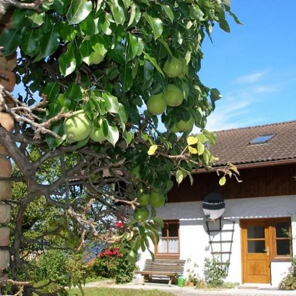 Gschwingerhof, hotel en Riedering