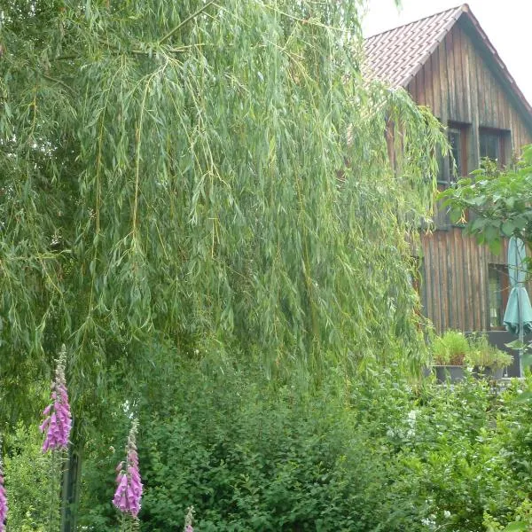 Ferienwohnung Lotti, Hotel in Brotterode