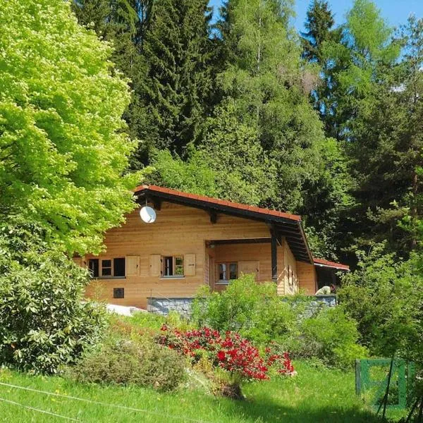 Log House in Rinchnach with Panoramic Views, khách sạn ở Rinchnach