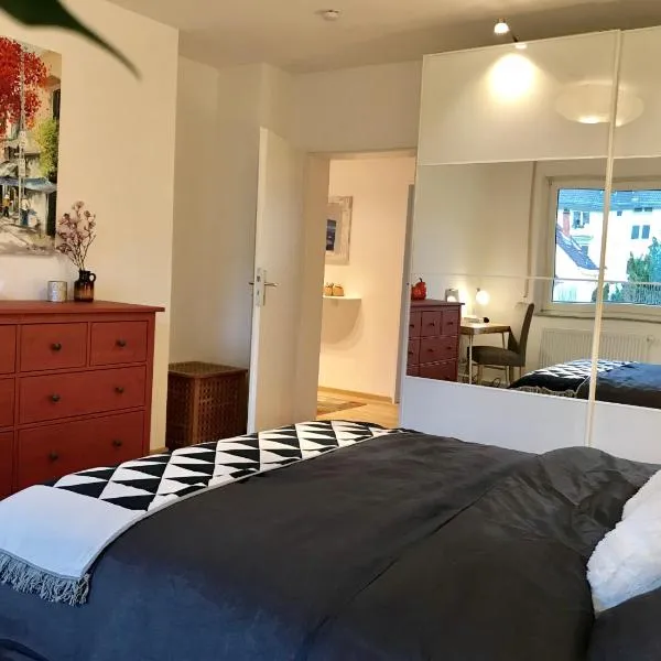 Homy 1BR plus Sofabed Business Apart - Near BASF - Super fast Wifi - Free Parking, hotel in Ludwigshafen am Rhein
