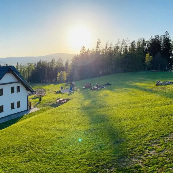 Horské Apartmány Bílý Vlk, hotel in Vaclavov u Bruntalu