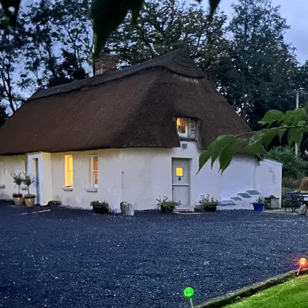 New Thatch Farm, knocklong, Limerick, hotelli kohteessa Imleach