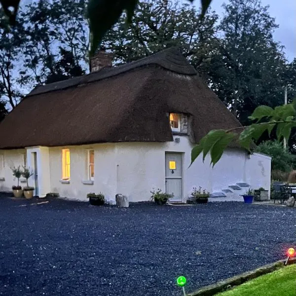 New Thatch Farm, knocklong, Limerick, hotel en Galbally