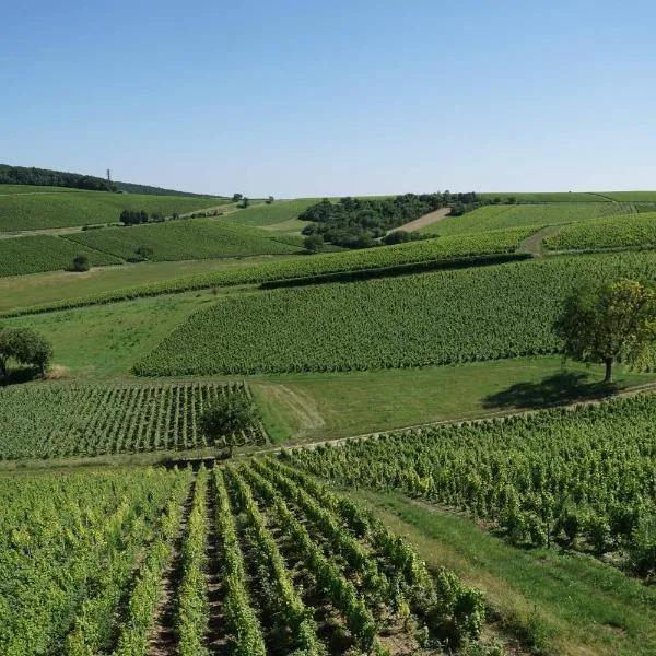 Au pied des Vignes, Hotel in Sancerre