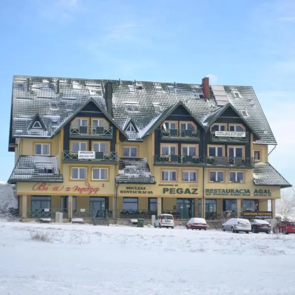 Ośrodek Pegaz, hotel in Duszniki Zdrój