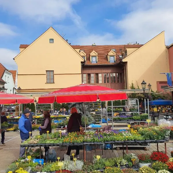 Dolac Guesthouse, hotel v Záhrebe