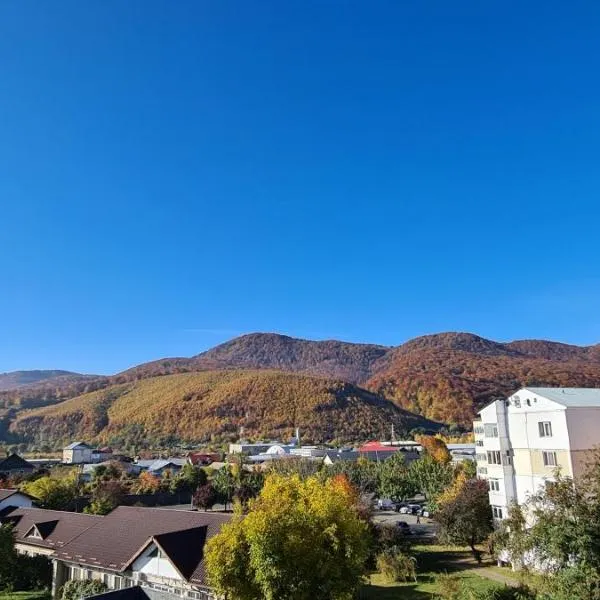 Casa Suzana, hotel in Piatra Neamţ